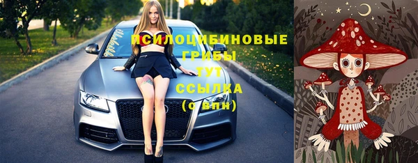 тгк Алзамай